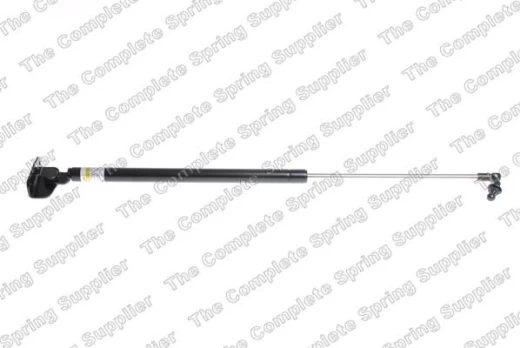 LESJOFORS LS8188306 Boot strut
