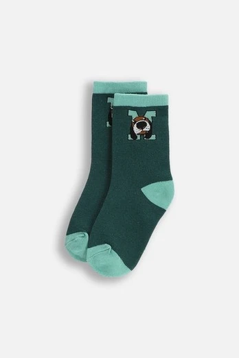 COCCODRILLO kojinės SOCKS BOY, žalios, cm