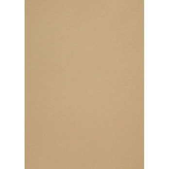 Popier.A4 CM 120g.Gold Leaf 408161