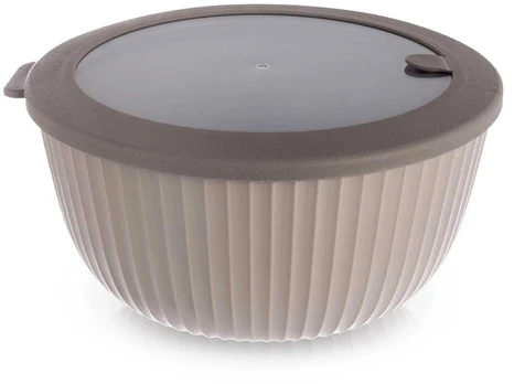 Dubuo su dangčiu 24,5 cm 4 l