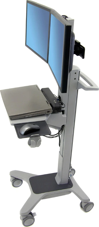 Laikiklis Ergotron NEO-FLEX DUAL WIDEVIEW/WORKSPACE