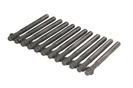 ELRING EL460030 Cylinder head bolt set