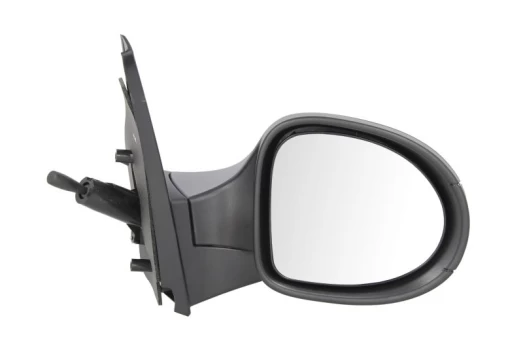 BLIC 5402-09-2002210P Wing mirror