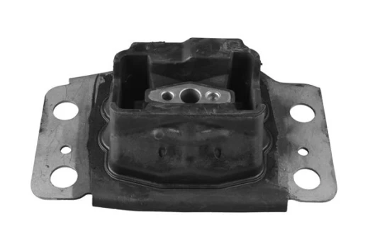 Variklio montavimas TEDGUM TED35055