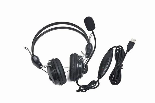 Ausinės su mikrofonu Gembird MHS-200 USB