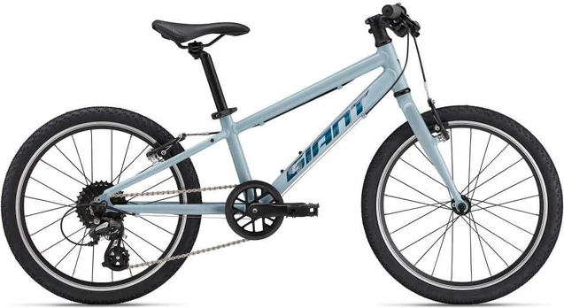 Vaikiškas dviratis Giant ARX 20 muilo putos (2025)