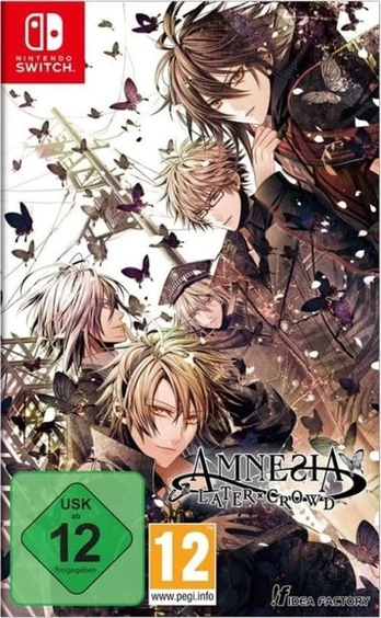 Amnesia: Later X Crowd Unknown