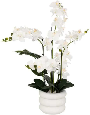 Dirbtinė orchidėja MICK keraminiame vazone, 80 cm