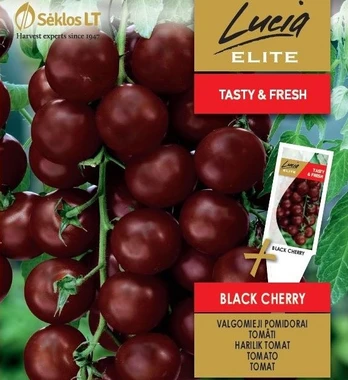 Daržovių sėklos, POMIDORAI VALGOMIEJI BLACK CHERRY, K