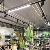 LED bėginis šviestuvas LINEAR PRO juodas 930 60 cm 3 grandinių DALI