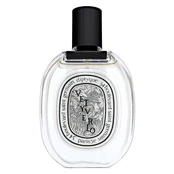 Diptyque Vetyverio EDT U 100 ml 100ml kaina