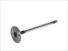 FRECCIA 6149/SCR Inlet valve kaina