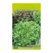 SĖJAMOSIOS SALOTOS SALAD BOWL kaina