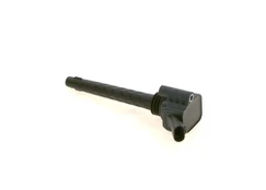 Ritė, uždegimas BOSCH 0221504026