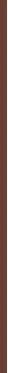 L'Oreal Blurfiller Blurring Lip Contour 1 g