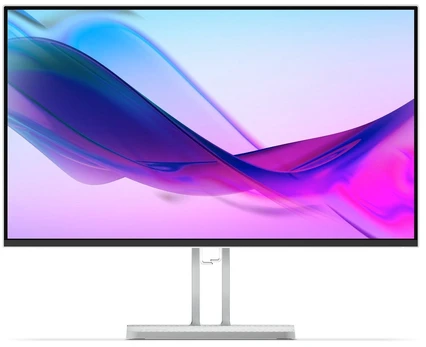 Monitorius Lenovo L24i-4A