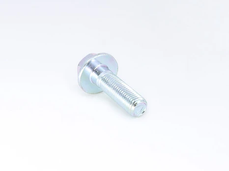 30006-102035810 Bolt