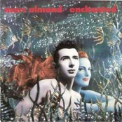CD Marc Almond - Enchanted