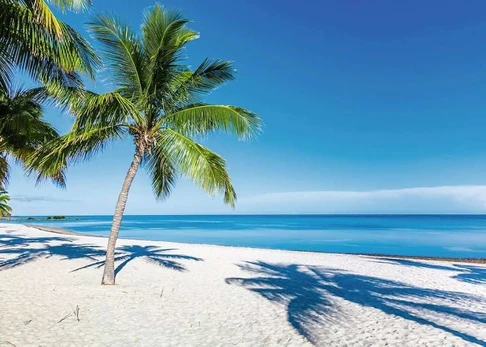 Ravensburger 1000 Puzzle Dėlionė: Beach Escape