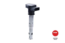 Ritė, uždegimas NGK 48042 kaina