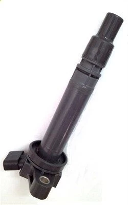 Ritė, uždegimas MAGNETI MARELLI 060717085012