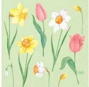 Serviet Duni Spring Melody L33xB33 cm 3-lags Floret,50 stk/pk