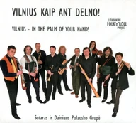 Vilnius kaip ant delno! (CD)