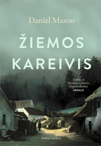 Žiemos kareivis