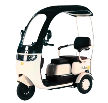 Elektrinis triratis su stogu RIDE-E NEMO (EEC) 1000W 60V 20Ah