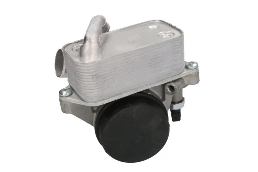 Alyvos radiatorius THERMOTEC D4B020TT