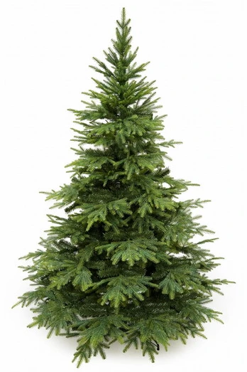 Dirbtinė kalėdinė eglutė kaukazo spruce, 280 cm, pe+pvc