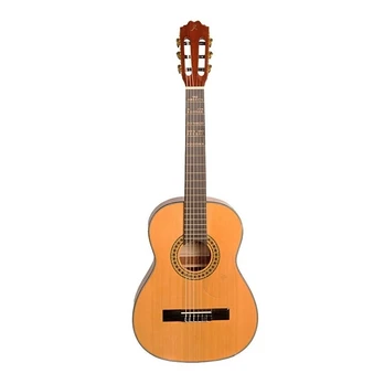 Klasikinė gitara Alvera ACG300 (4/4)