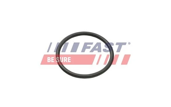 Aušinimo skysčio žarnos tarpiklis FAST FT49935