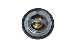 Termostatas, aušinimo skystis NRF 725089 kaina