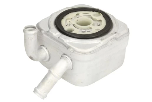 Alyvos radiatorius THERMOTEC D4A024TT
