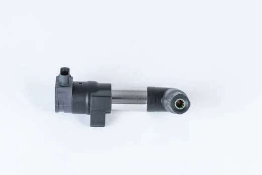 Ritė, uždegimas BorgWarner (BERU) ZSE253
