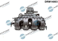 Įsiurbimo kolektoriaus modulis Dr.Motor Automotive DRM14803 kaina