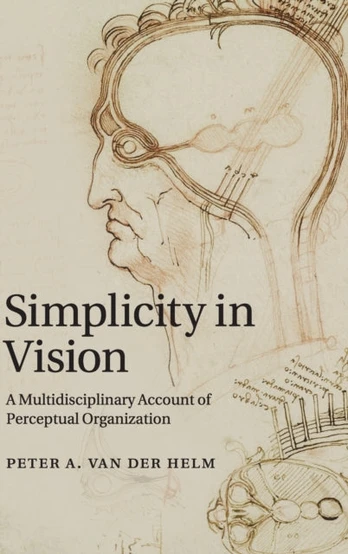 Simplicity in Vision