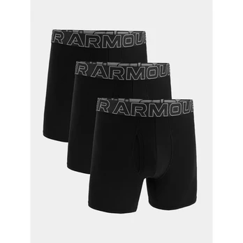 Under Armour Bokseriai M 1383891-001