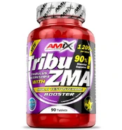 Amix Tribu-ZMA, 90 tab kaina