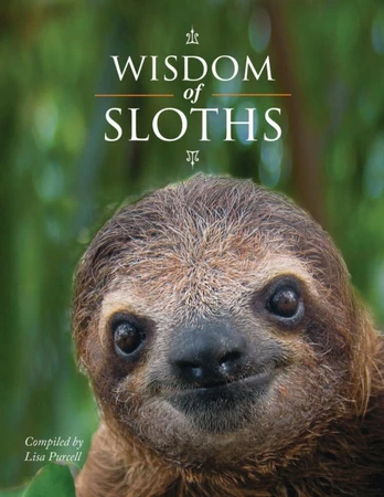 Wisdom of Sloths