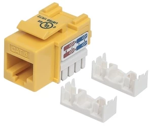 Jungtis Intellinet Cat6 UTP RJ45, balta