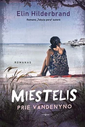 Miestelis prie vandenyno kaina
