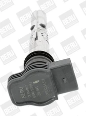 Ritė, uždegimas BorgWarner (BERU) ZSE043