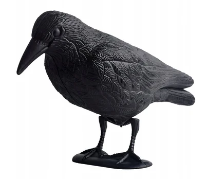Paukščių baidyklė GardenGuard Raven, 35x22 cm