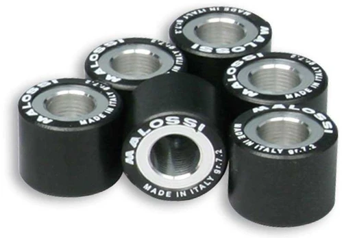 19x15,5 Svareliai MALOSSI HTRoll 6vnt.