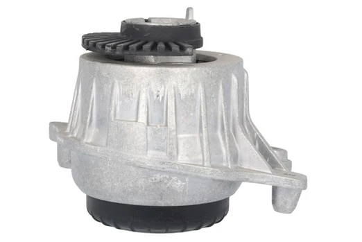 Variklio montavimas TEDGUM TED88856