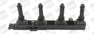 Ritė, uždegimas BorgWarner (BERU) ZSE151