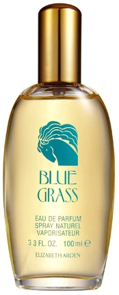Elizabeth Arden Blue Grass EDP 100 ml kaina