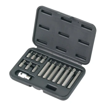 Keičiamų antgalių rinkinys(TORX)(15vnt.)